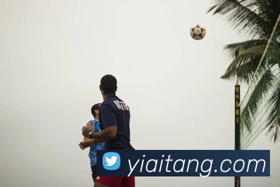 赛事专题整合